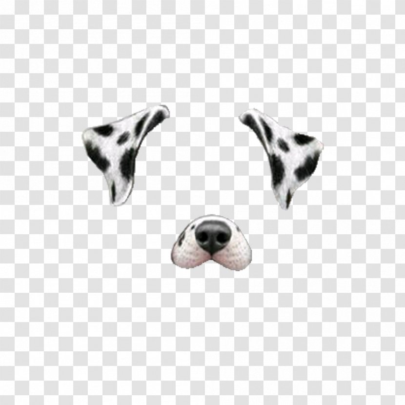 Dalmatian Dog Miniature Schnauzer Snapchat Clip Art - Body Jewelry Transparent PNG