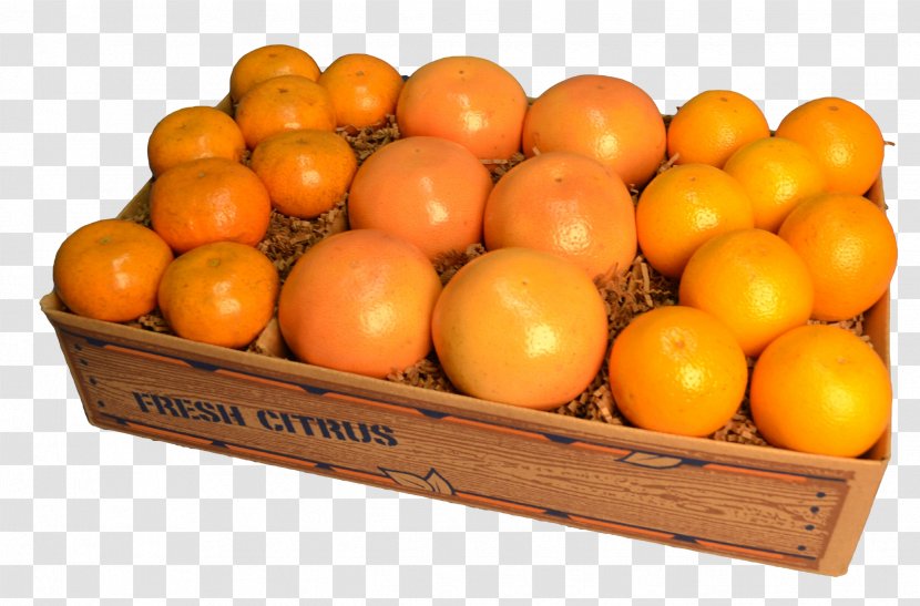 Clementine Tangerine Mandarin Orange Tangelo Grapefruit - Juice Transparent PNG