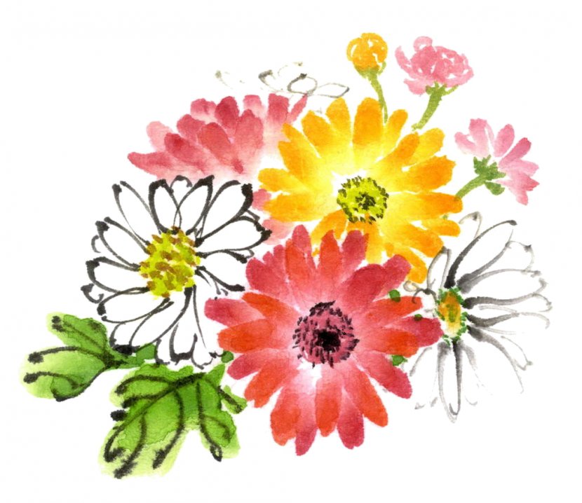 Ink Wash Painting Watercolor Chrysanthemum - Gerbera Transparent PNG
