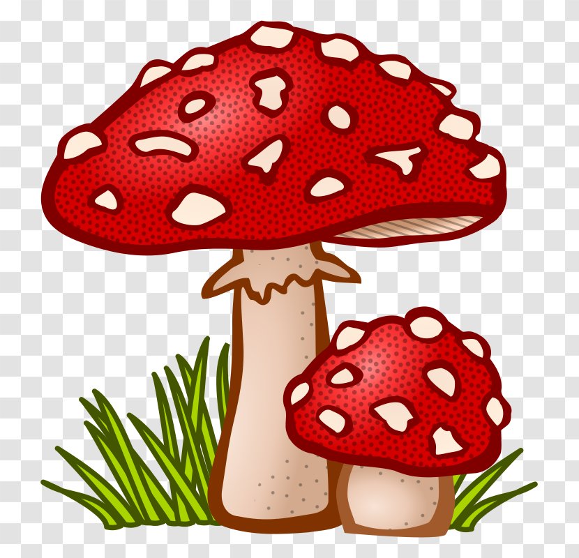 Mushroom Fungus Amanita Muscaria Clip Art - Psilocybin - Fungi Transparent PNG