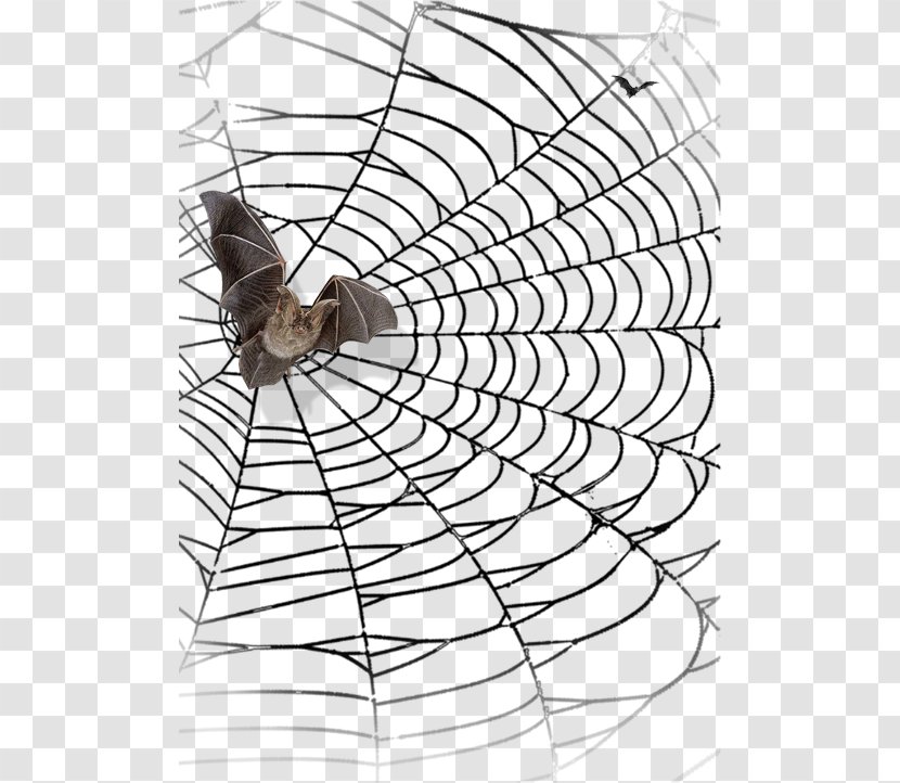 Spider Web Spider-Man Bat Halloween - Structure - Cobweb Transparent PNG