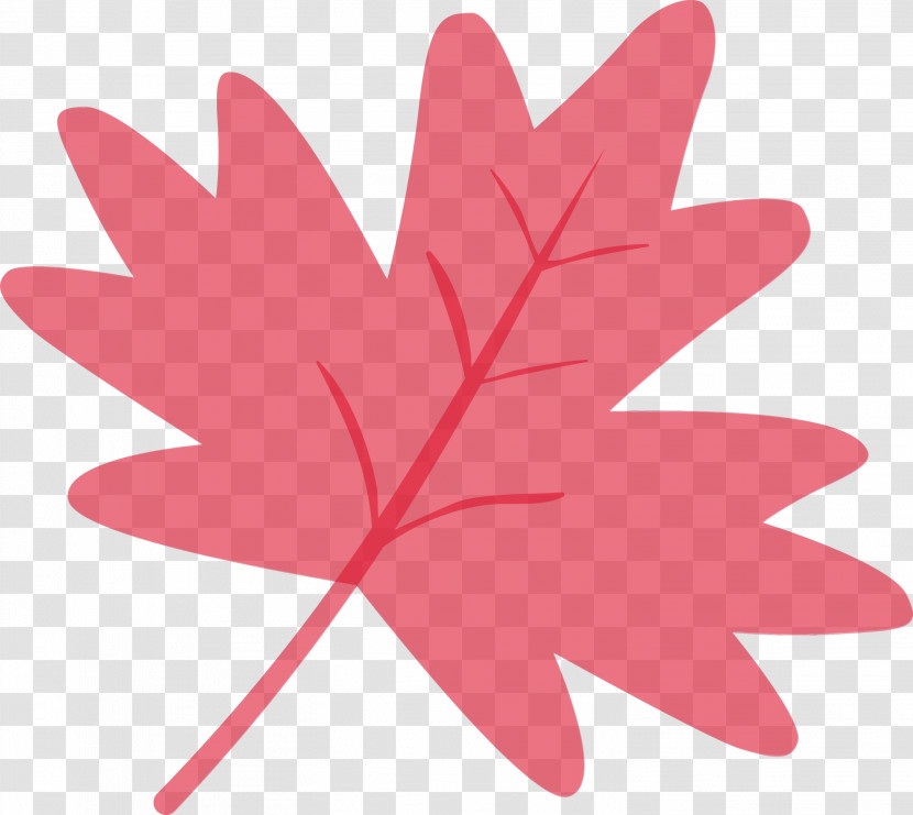 Maple Leaf Transparent PNG