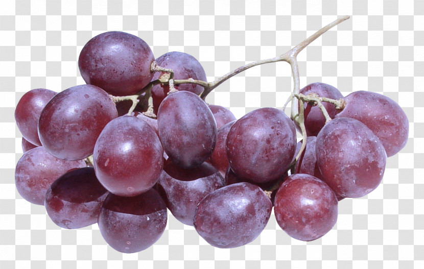 Grape Fruit Grapevine Family Vitis Plant Transparent PNG
