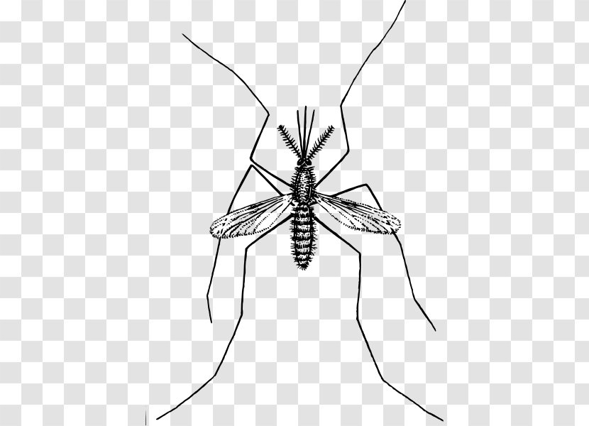 Clip Art - Wikimedia Commons - Mosquitos Transparent PNG