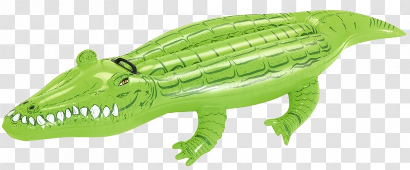 Crocodile Inflatable Amazon.com Turtle Swimming Pool - Fauna - Inflatables Transparent PNG