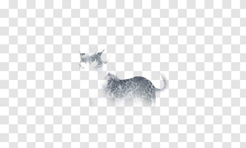Whiskers Kitten Dog White Snout Transparent PNG