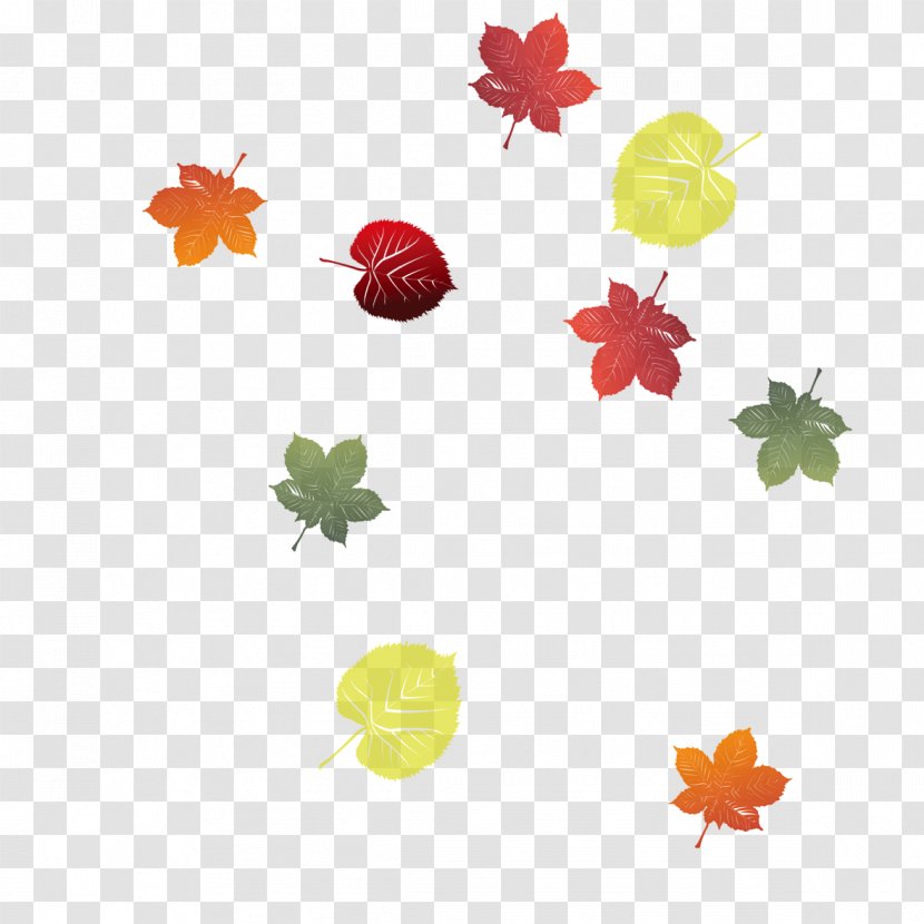 Leaf Download Clip Art - Flowering Plant - Autumn Leaves Transparent PNG