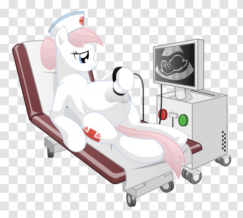 Pregnancy Pony Ultrasonography Nursing Fetus Transparent PNG