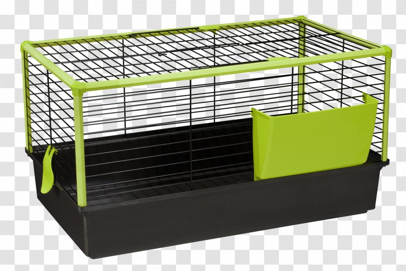 Cage 4K Resolution - 4k - Guinea Pig Transparent PNG