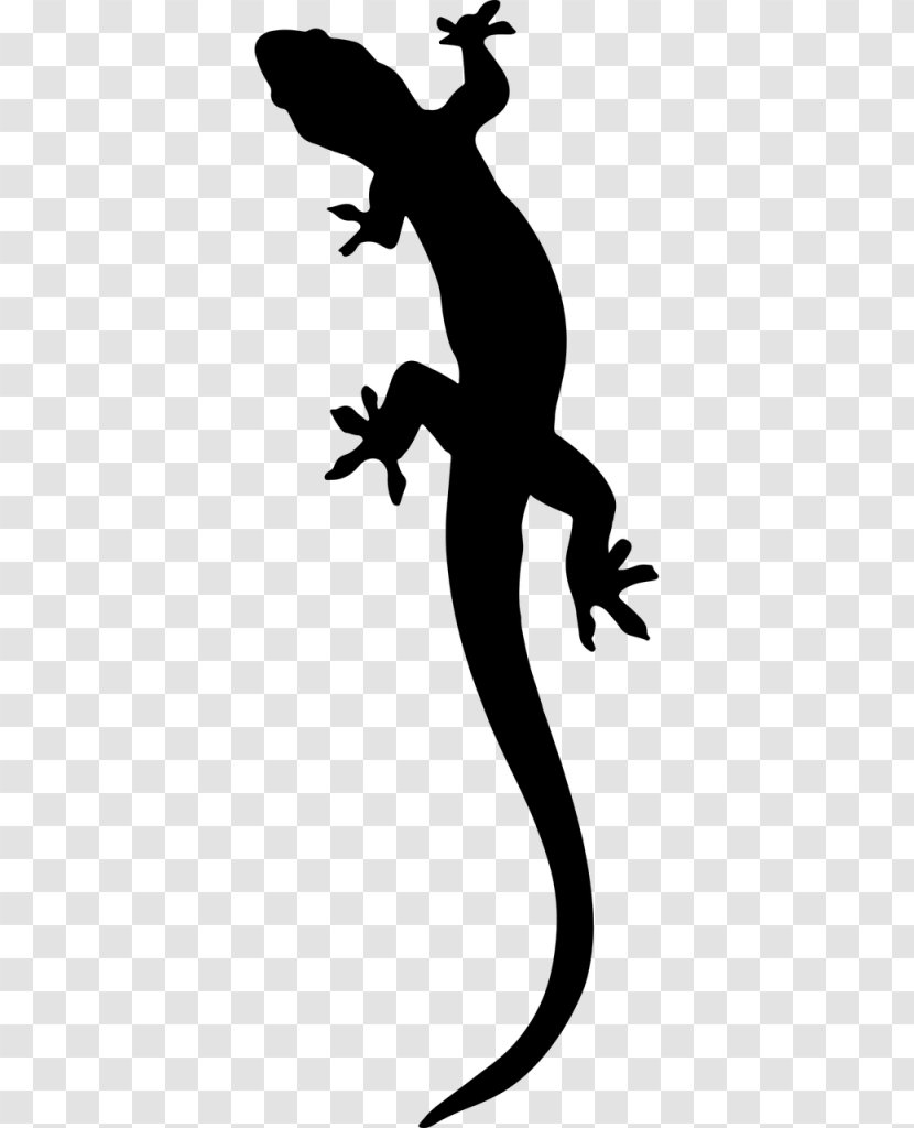 Salamander Gecko Clip Art - Drawing Transparent PNG