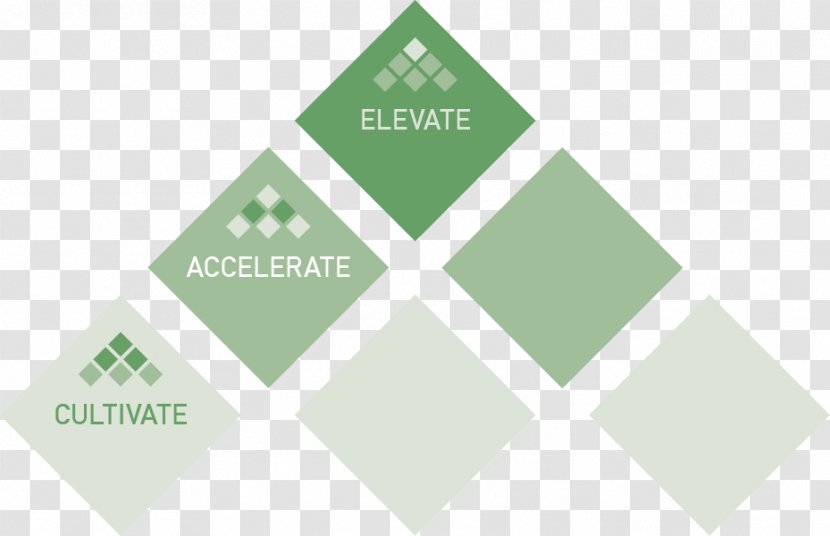 Logo Graphic Design Symmetry Angle - Green Transparent PNG