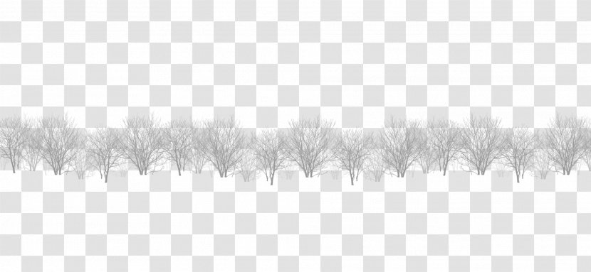 Black And White Pattern - A Row Of Branches Transparent PNG