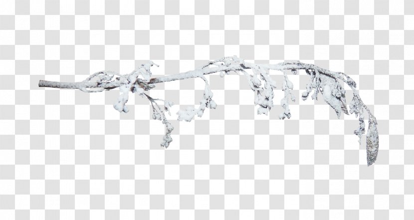 Snow Branch Clip Art - Twig - Winter Picture Material Transparent PNG