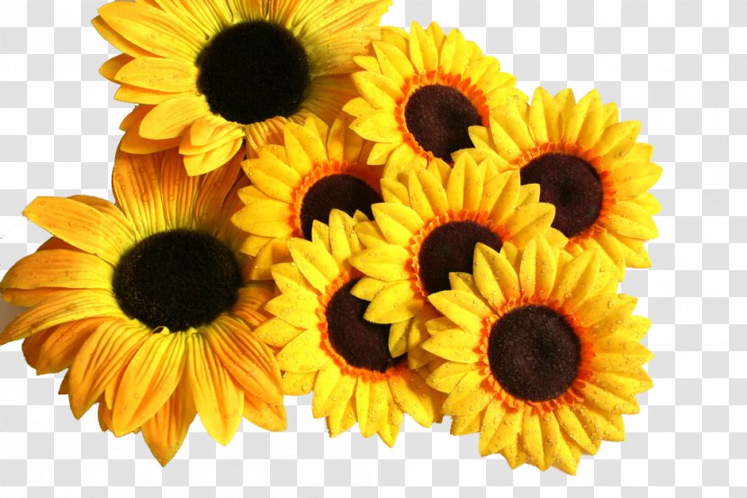 Vase With Three Sunflowers Paper Common Sunflower - Origami Transparent PNG