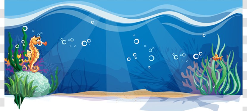 Cartoon Sea Royalty-free Illustration - Marine Biology - Elements Transparent PNG