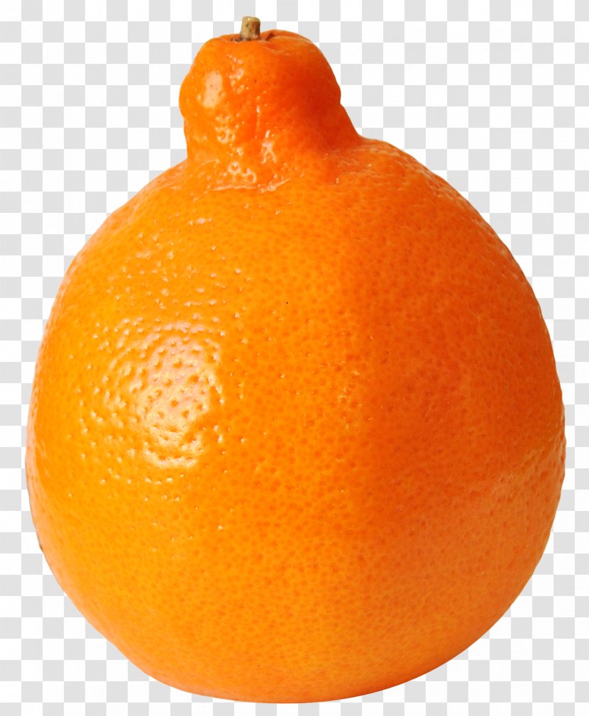 Clementine Tangelo Tangerine Ugli Fruit Rangpur - Citrus - Of FruitPix Transparent PNG