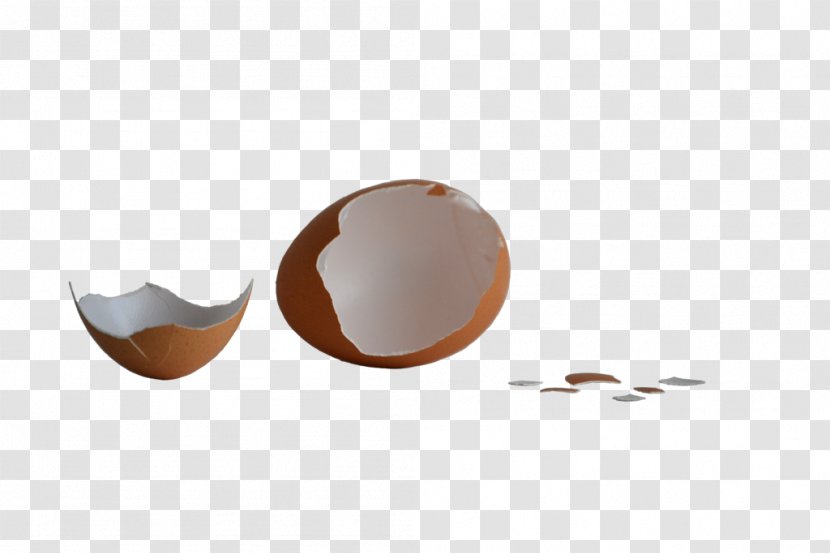 Eggshell Chicken Egg Information - Tableware - Shell Transparent PNG
