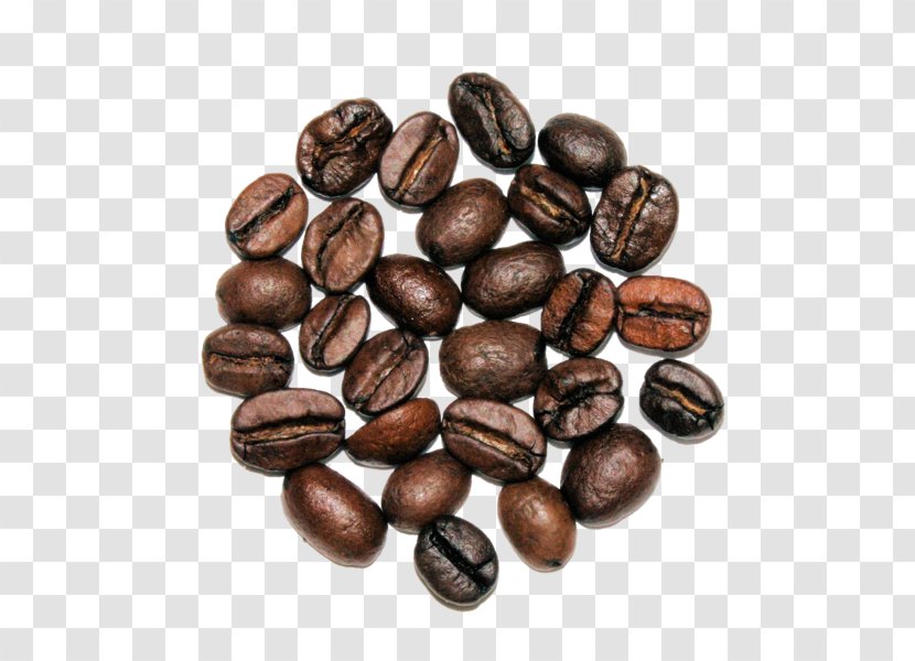 Jamaican Blue Mountain Coffee Cocoa Bean Brown Commodity Nut - Ingredient - En Antigua Guatemala Transparent PNG