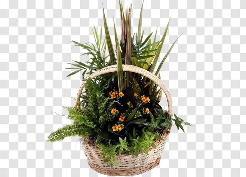 Floral Design Plants Cut Flowers Flowerpot - Dish Garden Transparent PNG