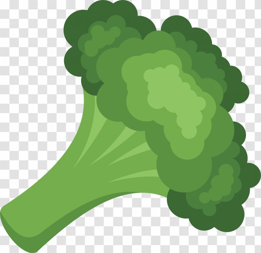 Cream Of Broccoli Soup Vegetarian Cuisine Vegetable Vector Graphics - Leaf - Broccolo Transparent PNG
