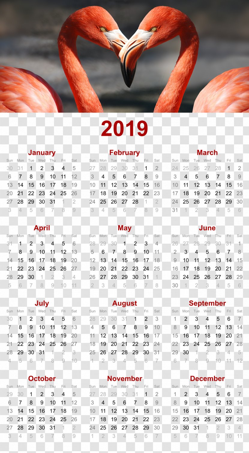 2019 Printable Calendar - Vocabulary - Flamingo Romantic DesignOthers Transparent PNG