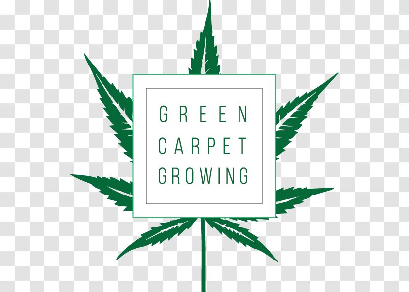 Green Carpet Growing Cannabis Cultivation West Coast Tours - Logo Transparent PNG