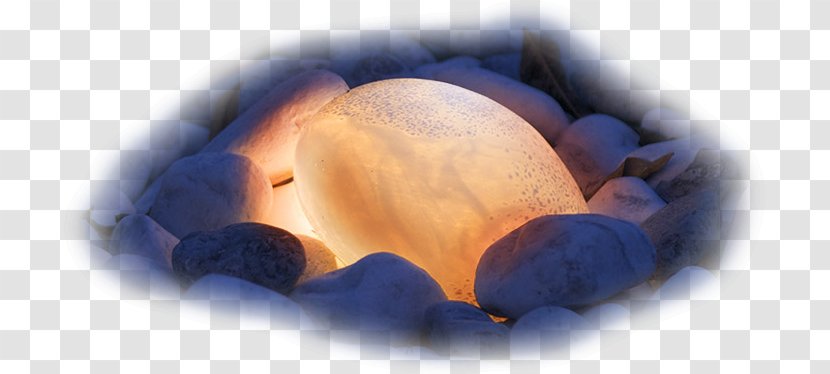 Light Jpw Group Eye Organism Bespoke Tailoring - Stone Transparent PNG