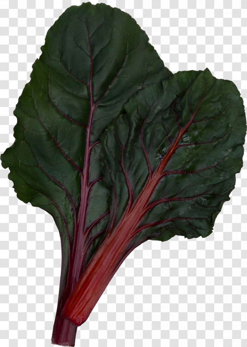 Chard Collard Greens Komatsuna Spring - Betacarotene - Swiss Transparent PNG