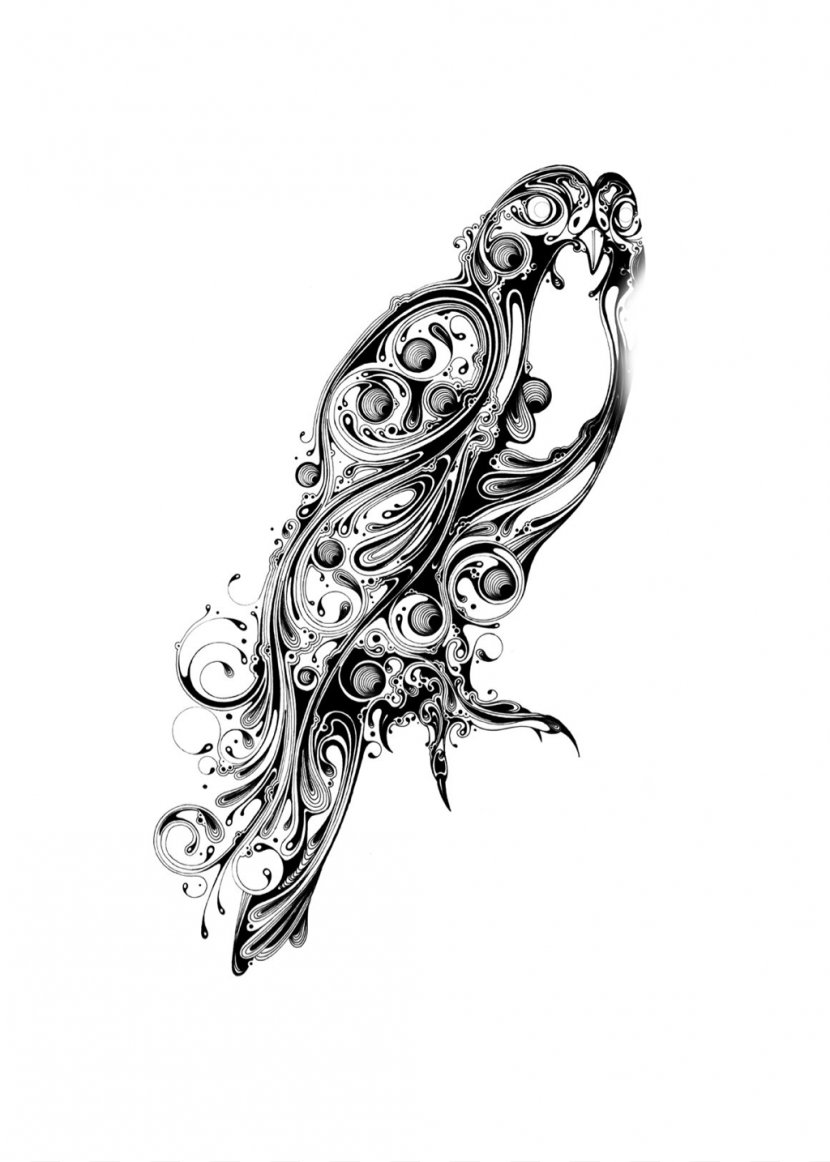 Si Scott Studio Drawing Graphic Designer - Artist - Sketch Transparent PNG