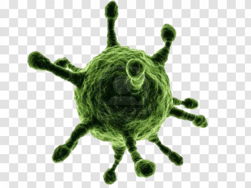 Virus Infection Bacteria Vector Organism - Common Cold Transparent PNG