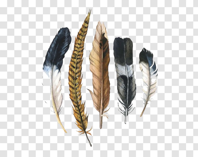 Watercolor Painting Feather Drawing Illustration - Art Transparent PNG