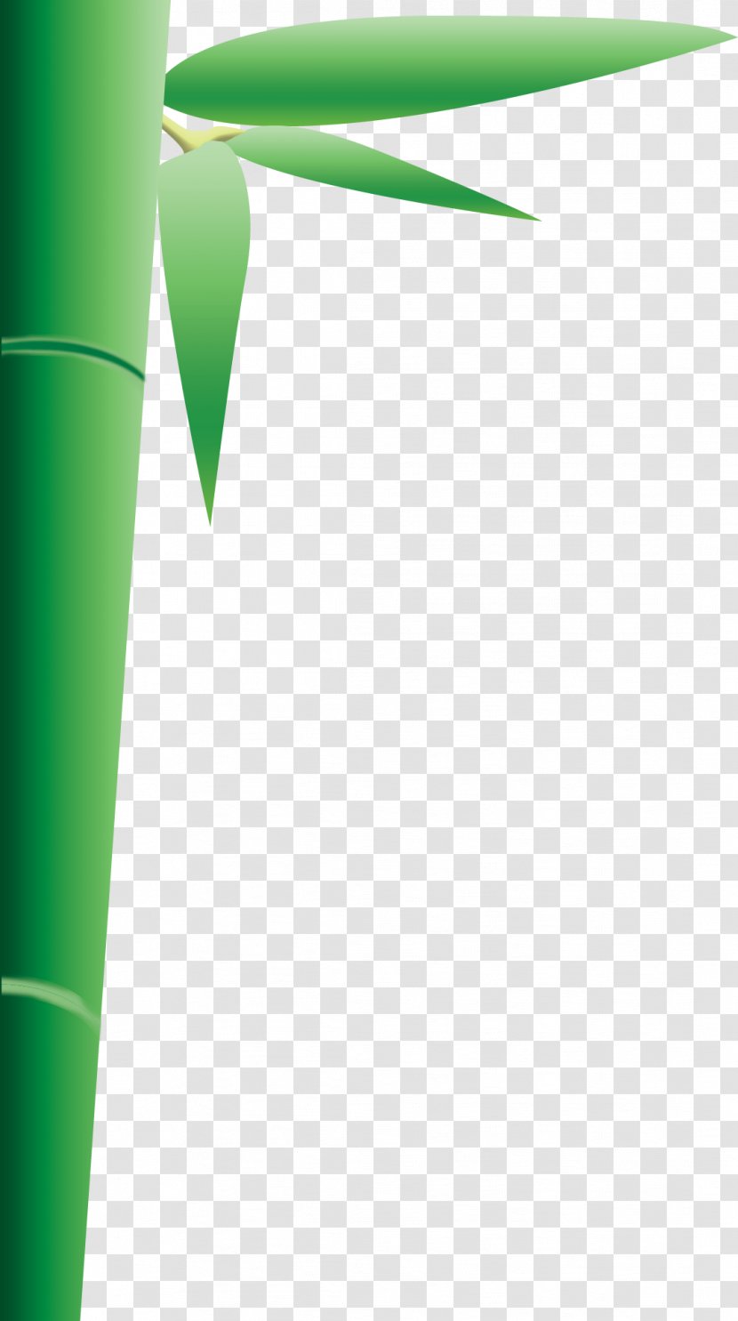 Graphic Design Green Pattern - Triangle - Bamboo Transparent PNG