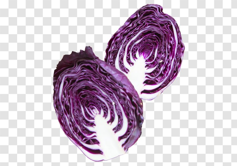 Red Cabbage Purple Vegetable Coleslaw Transparent PNG