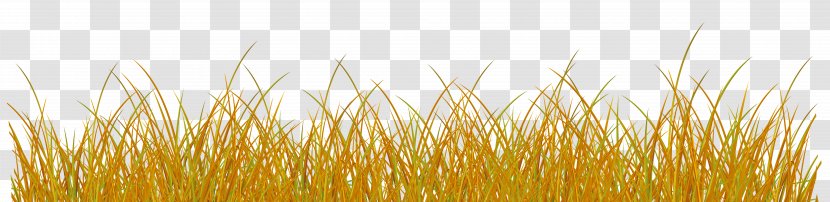 Autumn Wheat Clip Art Image - Sky - Grassland Transparent PNG