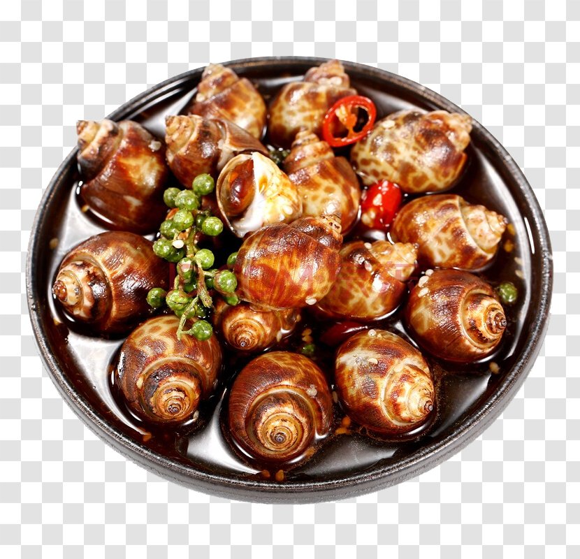 Frying Chili Pepper Capsicum Dish - Meat - Spicy Fried Snail Transparent PNG