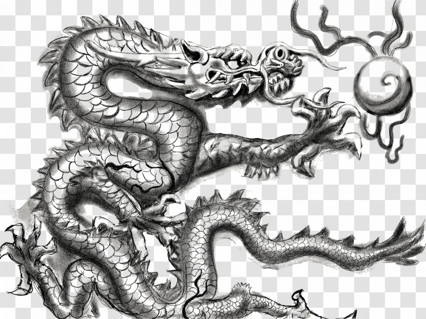 Dragon Drawing Clip Art - Designer - Sketch Pattern Transparent PNG