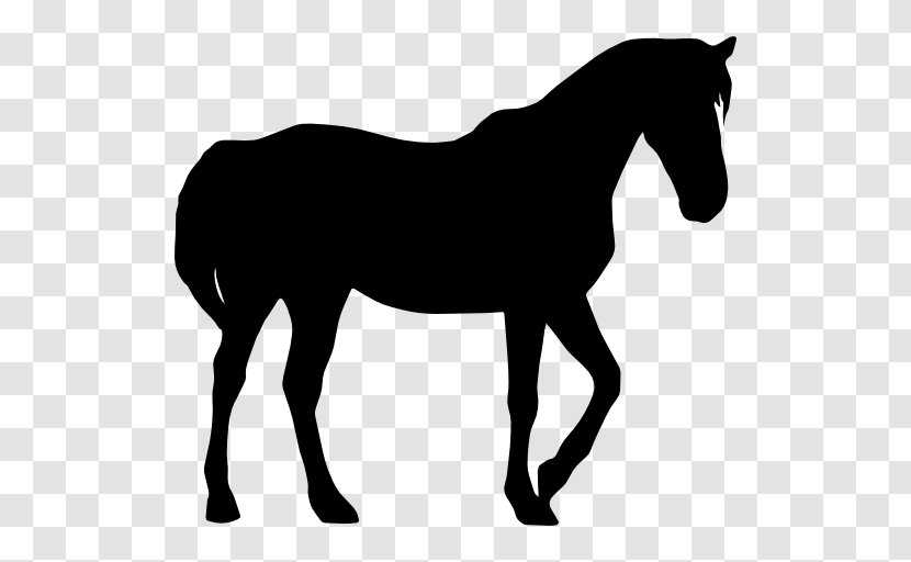 Mustang Silhouette Standing Horse - Wild Transparent PNG