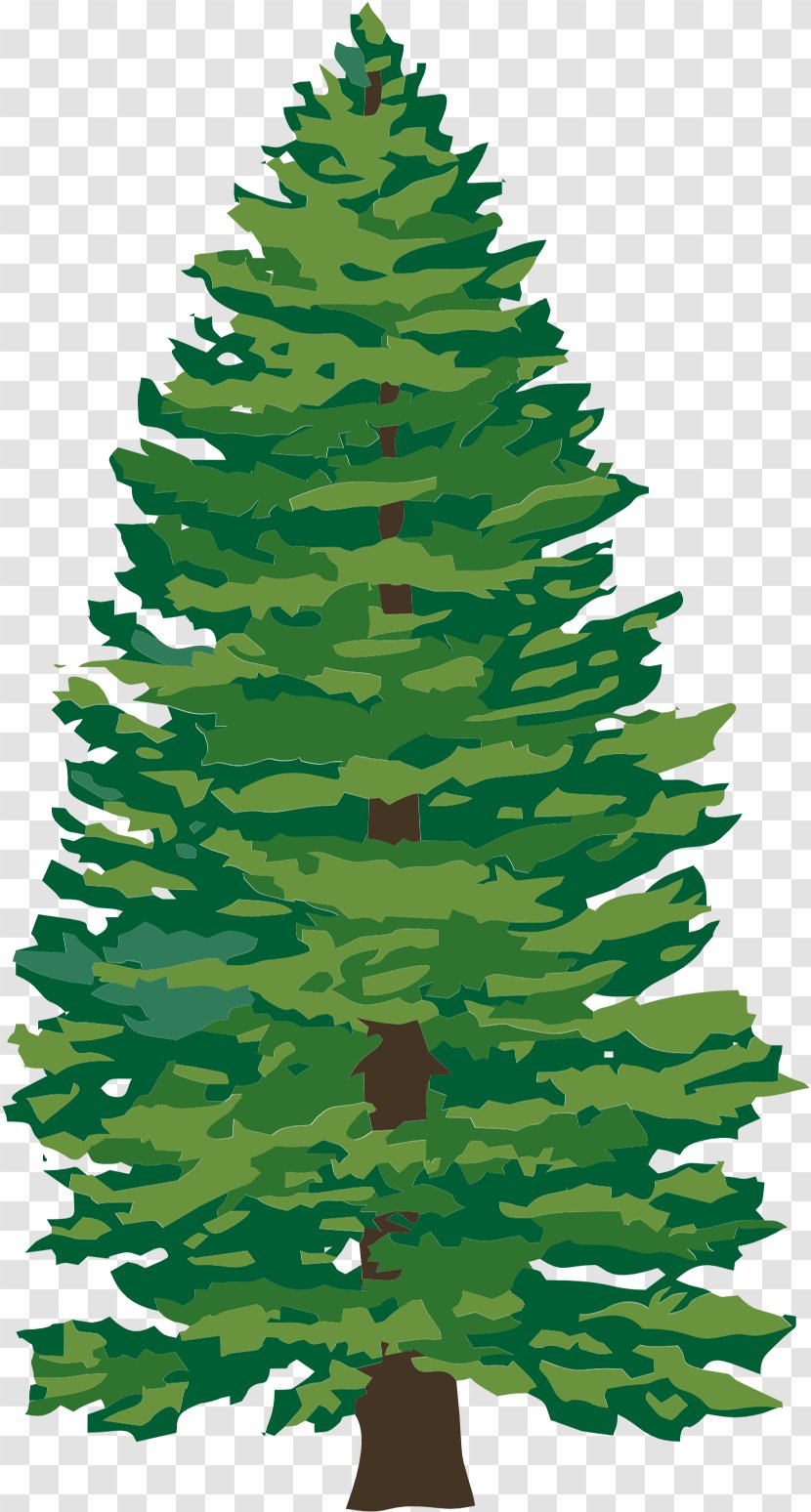 Christmas Tree Stump Day Spruce - Colorado - Norway Collage Transparent PNG