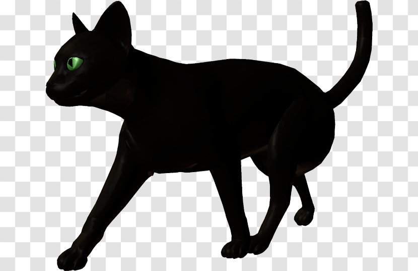 Black Cat Bombay Korat Domestic Short-haired Clip Art - Small To Medium Sized Cats Transparent PNG