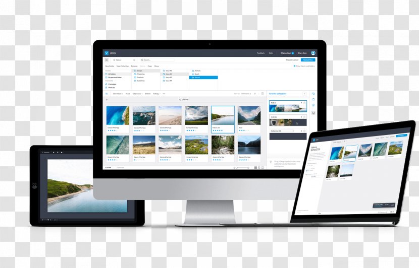 Digital Asset Management Information Multimedia - Publishing - Electronics Transparent PNG