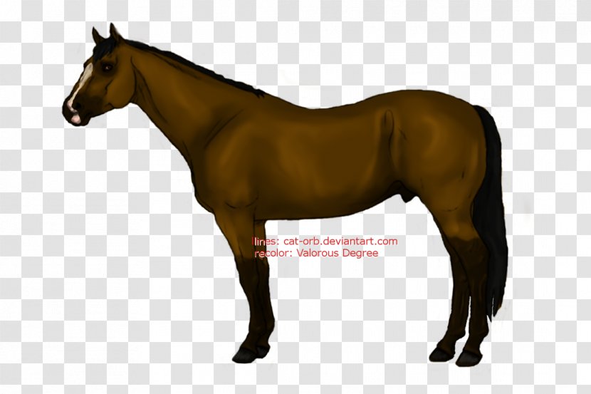 Mare Pony Stallion Mane Foal - Cartoon - Colts Puppies Kittens Bunnies Transparent PNG