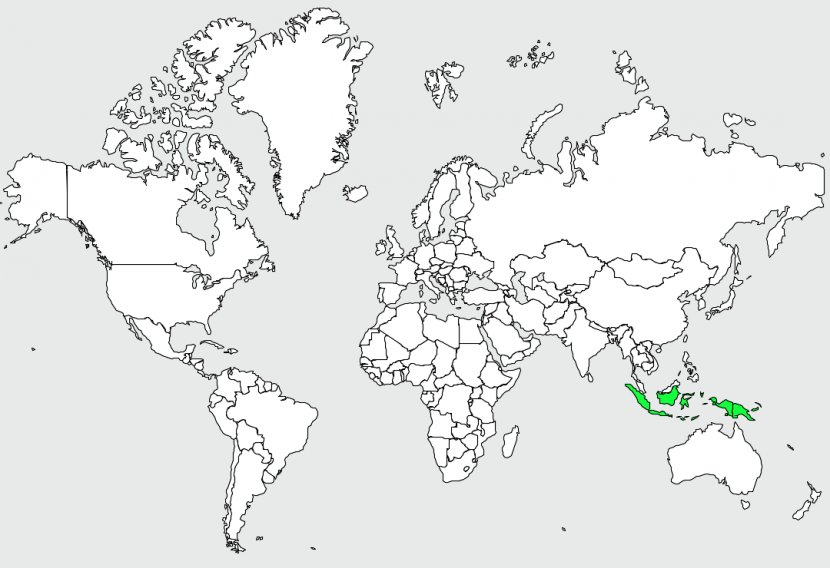 World Map Border GeoJSON - Geojson Transparent PNG