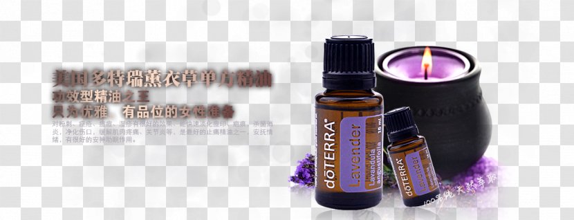 Lavender Oil Essential - Lights Transparent PNG