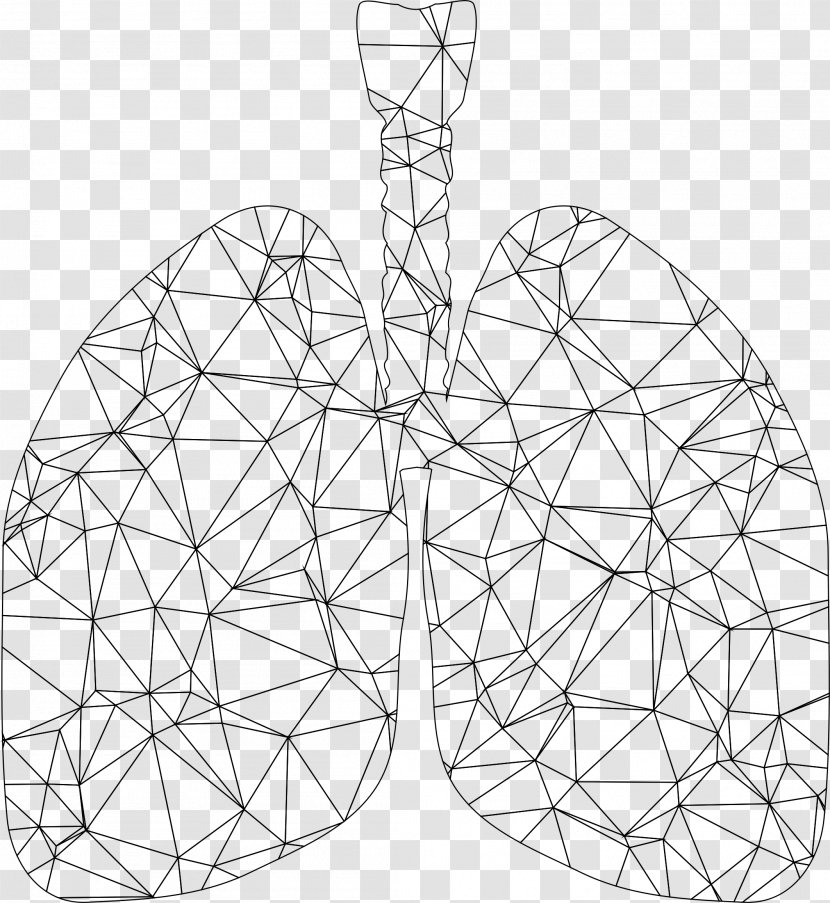 Lung Triangle Polygon - Structure - Lungs Transparent PNG