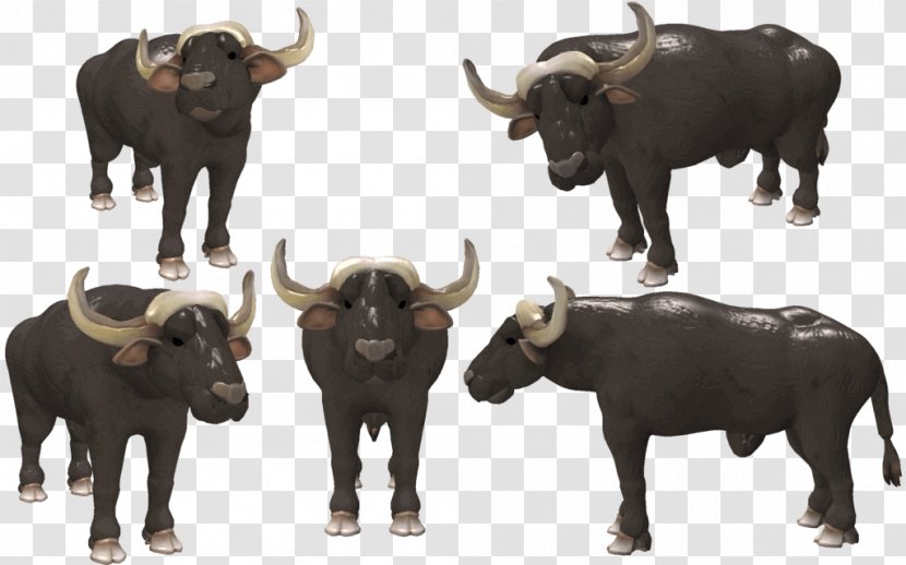 Water Buffalo Cattle African Spore American Bison - Buffelo Transparency And Translucency Transparent PNG