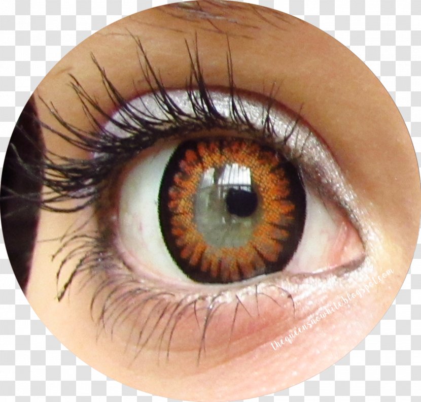 Eyelash Extensions Contact Lenses Close-up Artificial Hair Integrations - Heart - Make Up Posters Transparent PNG