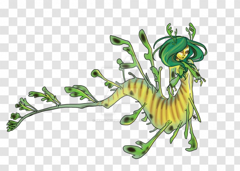 Leafy Seadragon Common Syngnathidae - Organism - Sea Dragon Transparent PNG