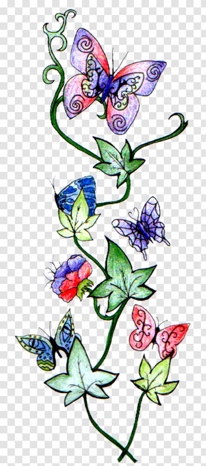 Sleeve Tattoo Vine Butterfly Design - Insect - Ivy Drawing Transparent PNG