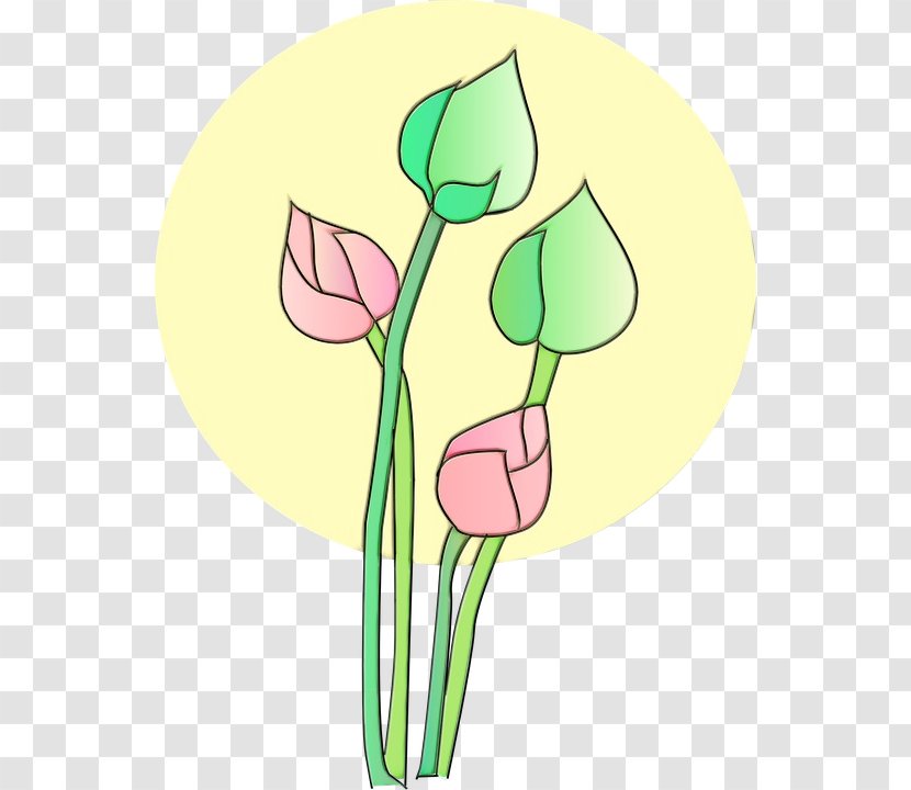 Lily Flower Cartoon - Arum - Family Wildflower Transparent PNG