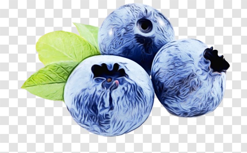 Blueberry Transparency Bilberry Periorbital Puffiness Food - Plant Fruit Transparent PNG